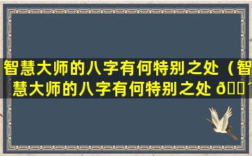 智慧大师的八字有何特别之处（智慧大师的八字有何特别之处 🌴 和用途）